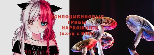 твердый Беломорск