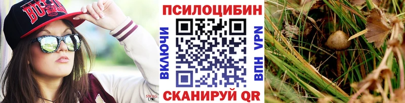 Галлюциногенные грибы Magic Shrooms  наркота  Кстово 